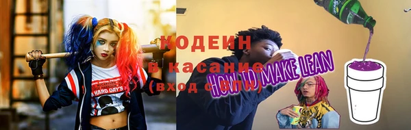 соль ск Абаза