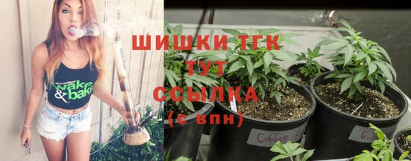 соль ск Абаза