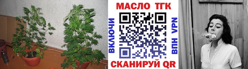 ТГК THC oil  даркнет клад  Ленинградская  наркота 