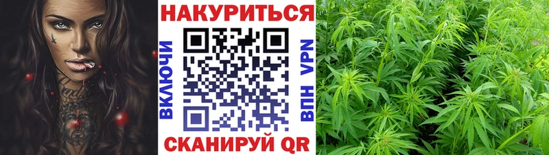 сайты даркнета Telegram  Ленинградская  Конопля тримм 